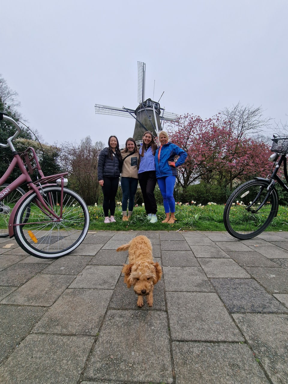 The Cornflower windmill on the Amsterdam West route