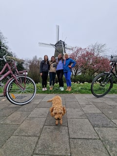 A windmill in the neighbourhood